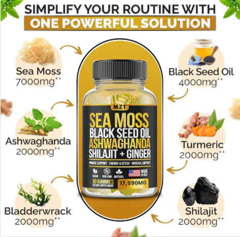 Sea Moss, Black Seed Oil, Ashwagandha, Ginger, Shilajit Gummies with Elderberry, Chlorophyll, Turmeric Bladderwrack Sea Moss Gummies Advanced Strength Formula - All in 1 Bundle - USA Made (60 Gummies)