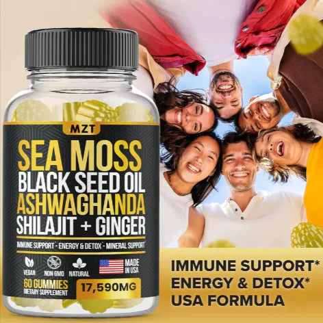 Sea Moss, Black Seed Oil, Ashwagandha, Ginger, Shilajit Gummies with Elderberry, Chlorophyll, Turmeric Bladderwrack Sea Moss Gummies Advanced Strength Formula - All in 1 Bundle - USA Made (60 Gummies)